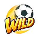 wild - เส้าหลินซ็อกเกอร์ (Shaolin Soccer)