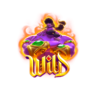 wild - พร 3 ข้อของจินนี่ - genie's 3 wishes