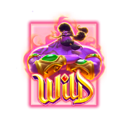 wild - พร 3 ข้อของจินนี่ - genie's 3 wishes